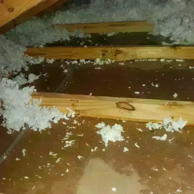 Attic Water Damage in Bermuda Dunes, CA