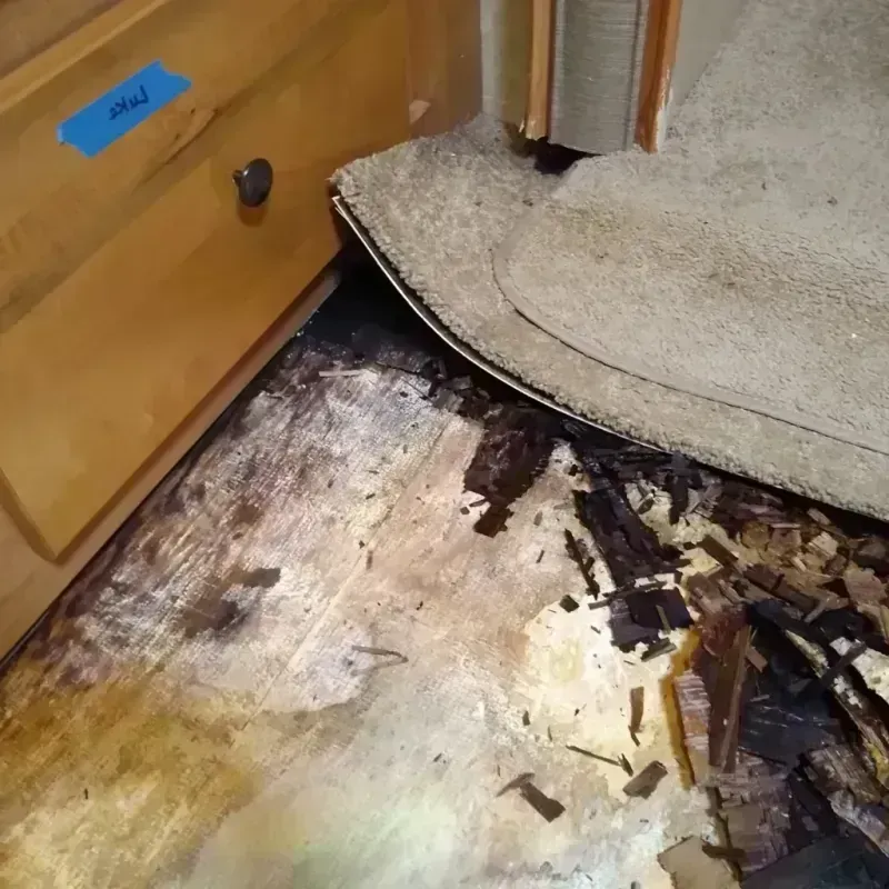 Wood Floor Water Damage in Bermuda Dunes, CA